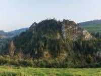 Rezerwat przyrody Biała Woda