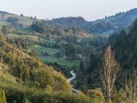 Rezerwat przyrody Biała Woda