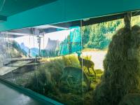 Muzeum Przyrodnicze TPN Ośrodek Dydaktyczny Tatrzańskiego Parku Narodowego