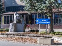 Pomnik Wincentego Galicy w Zakopanem