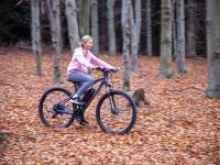 Bieszczadzka Wypożyczalnia Rowerów Elektrycznych