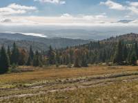 Polana Zielenica w Gorcach 