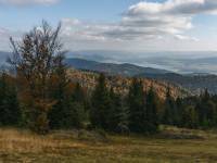 Polana Zielenica w Gorcach 