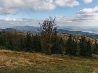 Polana Zielenica w Gorcach 