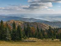 Polana Zielenica w Gorcach 