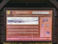 Polana Zielenica w Gorcach 