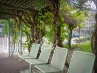 Ogrody Biblioteki Uniwersytetu Warszawskiego