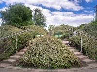 Ogrody Biblioteki Uniwersytetu Warszawskiego