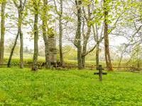 Cmentarz wojenny nr 43 w Radocynie