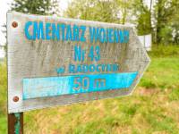 Cmentarz wojenny nr 43 w Radocynie