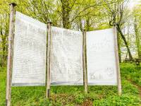 Cmentarz wojenny nr 43 w Radocynie