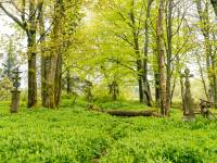 Cmentarz wojenny nr 43 w Radocynie