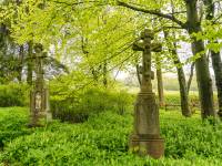 Cmentarz wojenny nr 43 w Radocynie