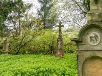 Cmentarz wojenny nr 43 w Radocynie