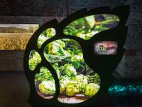 Muzeum Browaru Żywiec