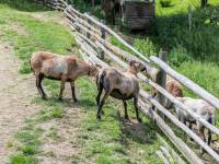 Park Czarnego Daniela