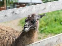 Park Czarnego Daniela