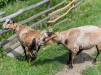 Park Czarnego Daniela
