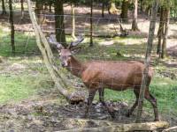 Park Czarnego Daniela