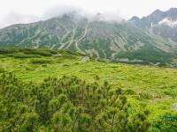 Czarny Staw Gąsienicowy