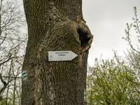 Wiata turystyczna we wsi Ożenna