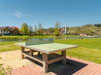 Siłownia na świeżym powietrzu 2 w Krościenku nad Dunajcem