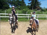 Mazurskie Mini Zoo w Kąpie