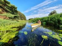 Spływ kajakowy Piaśnicą do morza: Żarnowiec - Dębki