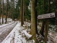 Mogiła żołnierzy oddziału Garbnik