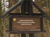 Ścieżka przyrodnicza Dolina potoku Jaszcze