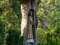 Klasztor Braci Mniejszych Kapucynów w Serpelicach