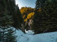 Wąwóz Szopczański i Przełęcz Szopka