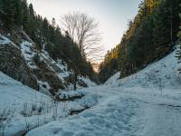 Wąwóz Szopczański i Przełęcz Szopka