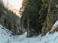 Wąwóz Szopczański i Przełęcz Szopka