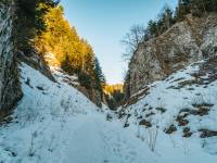 Wąwóz Szopczański i Przełęcz Szopka