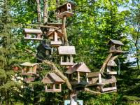 Ptasi kącik przyrodniczy