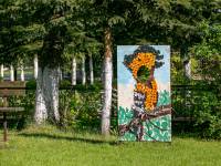 Ptasi kącik przyrodniczy