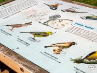 Ptasi kącik przyrodniczy