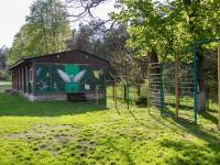 Ptasi kącik przyrodniczy