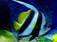 Oceanarium w Kołobrzegu