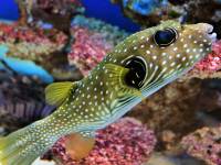 Oceanarium w Kołobrzegu