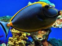 Oceanarium w Kołobrzegu