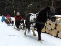 Zajęcia rekreacyjno - edukacyjne z elementami terapii