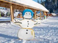 Stacja Narciarska u Steni-Dimbo