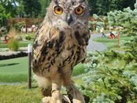 Costerina Park – Rodzinne Centrum Rozrywki