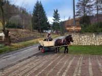 Zajęcia rekreacyjno - edukacyjne z elementami terapii