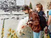 Centrum Przyrodniczo-Edukacyjne Brama w Gorce