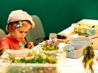 Centrum Przyrodniczo-Edukacyjne Brama w Gorce