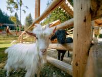 Centrum Przyrodniczo-Edukacyjne Brama w Gorce