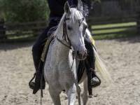 Miasteczko Silverado City